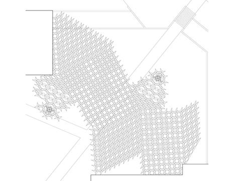 canopy